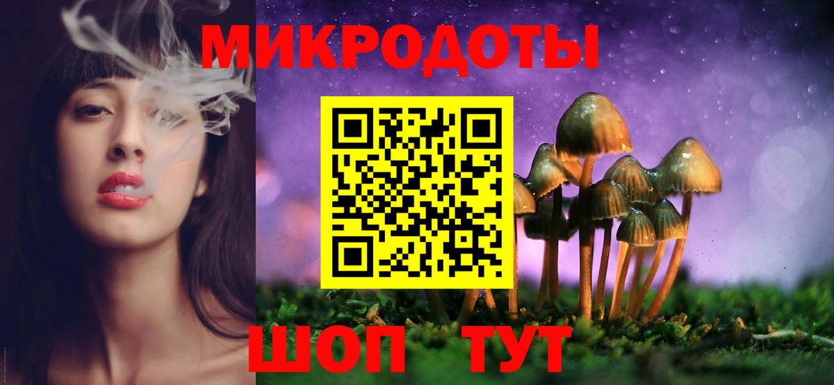 Галлюциногенные грибы Cubensis Чернушка