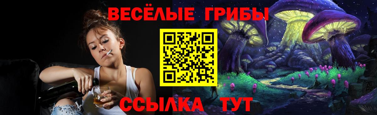 Псилоцибиновые грибы мухоморы  Вход с VPN  Чернушка 